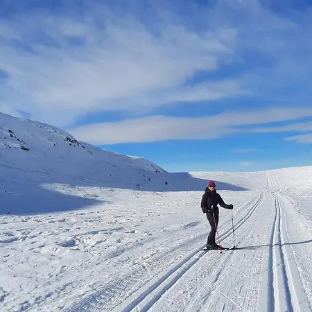 Hytteeventyr I Valdres Med Jacuzzi, 5 Soverom, Alpinbakke Og Skiloyper Like Ved! *