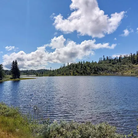 Hytteeventyr I Valdres Med Jacuzzi, 5 Soverom, Alpinbakke Og Skiloyper Like Ved! Feriehus