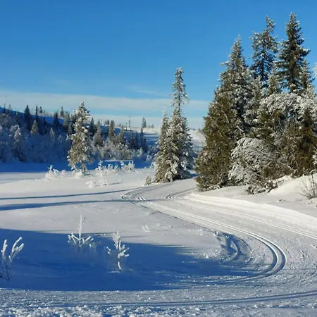 Hytteeventyr I Valdres Med Jacuzzi, 5 Soverom, Alpinbakke Og Skiloyper Like Ved! Vakantiehuis *