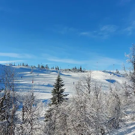 Hytteeventyr I Valdres Med Jacuzzi, 5 Soverom, Alpinbakke Og Skiloyper Like Ved! *