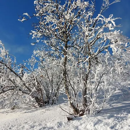 Prázdninový dům Hytteeventyr I Valdres Med Jacuzzi, 5 Soverom, Alpinbakke Og Skiloyper Like Ved! *