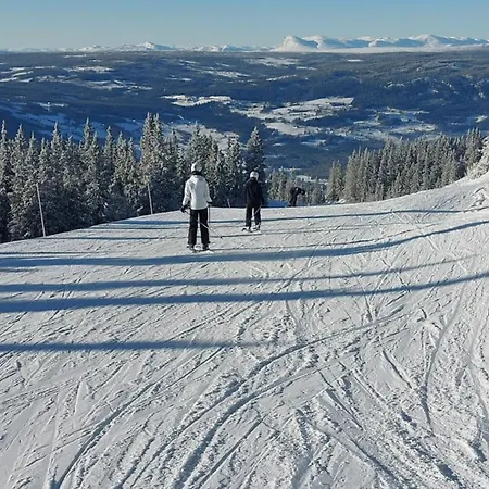 Hytteeventyr I Valdres Med Jacuzzi, 5 Soverom, Alpinbakke Og Skiloyper Like Ved! Vakantiehuis Aurdal
