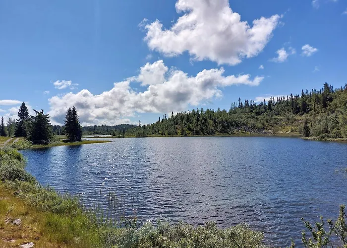 Hytteeventyr I Valdres Med Jacuzzi, 5 Soverom, Alpinbakke Og Skiloyper Like Ved! Feriehus