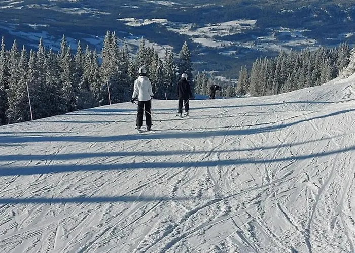 Hytteeventyr I Valdres Med Jacuzzi, 5 Soverom, Alpinbakke Og Skiloyper Like Ved! Ferienhaus Aurdal